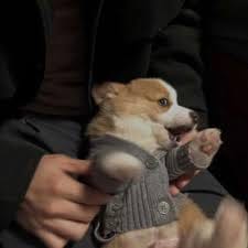 Bianca Mercado avatar